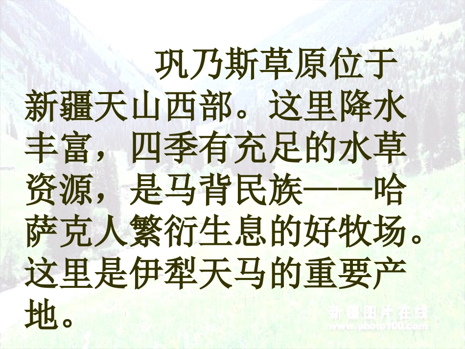 《巩乃斯的马》PPT课件[北师大版五年级语文上册]_第3页