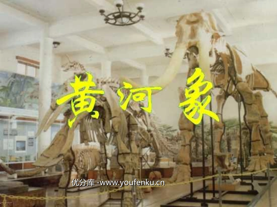 《黄河象》PPT课件[北师大版五年级语文上册]_第1页