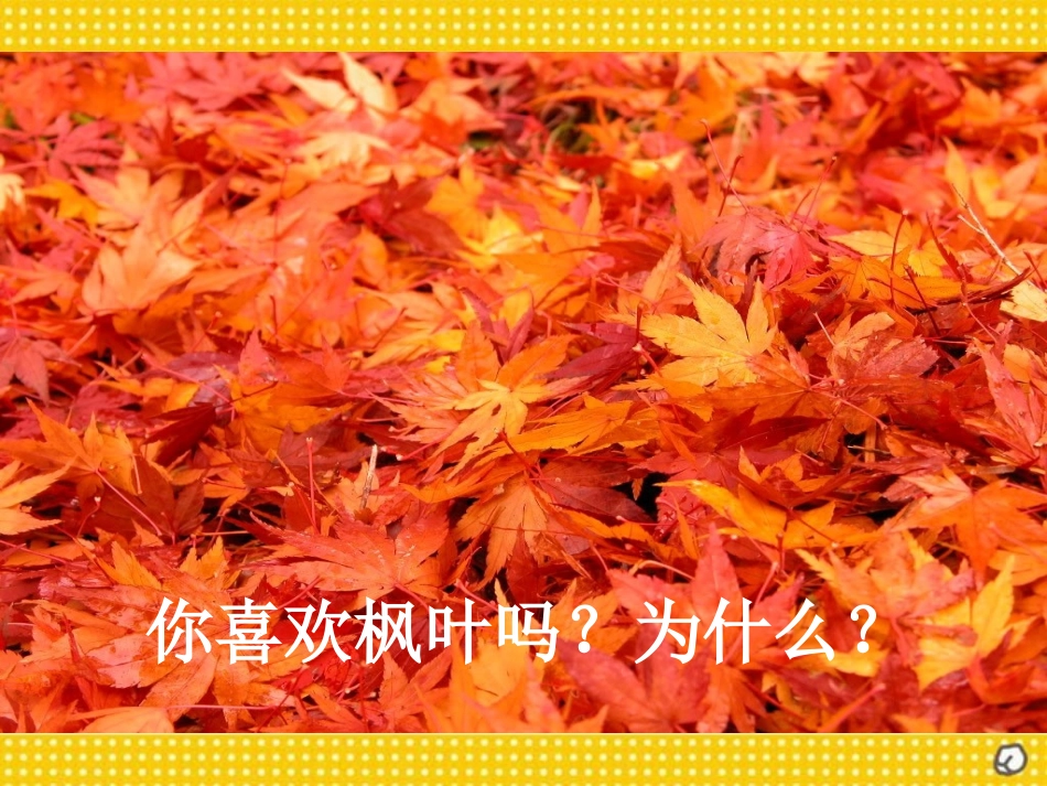 《枫叶如丹》PPT课件[北师大版五年级语文上册]_第2页