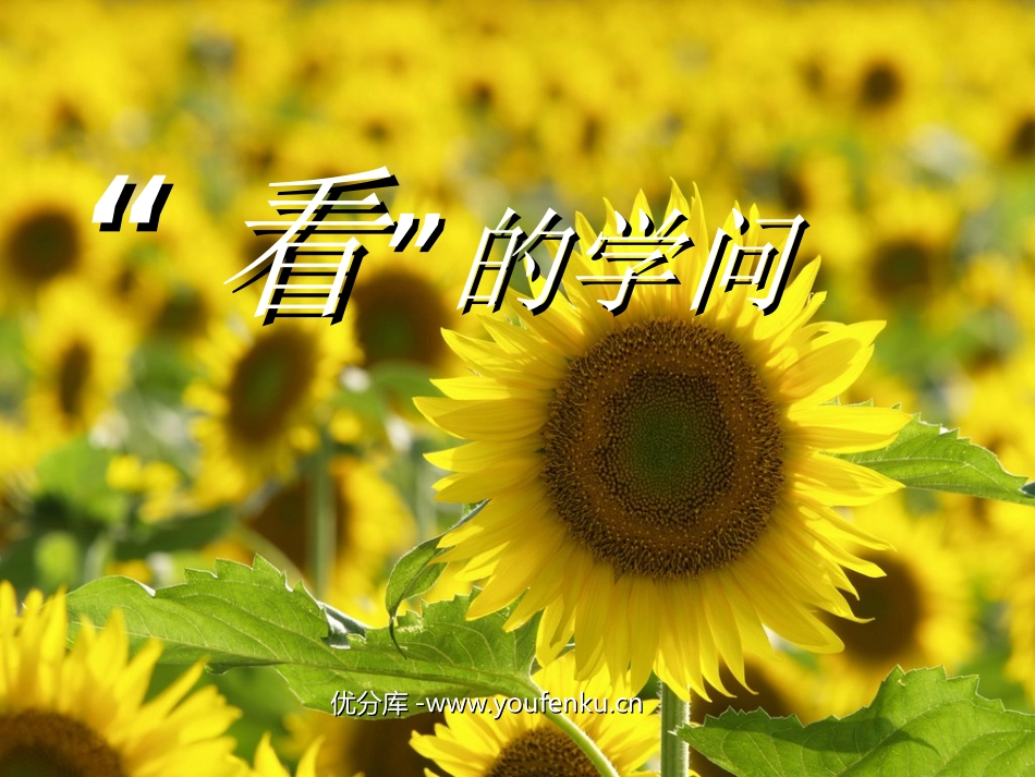 《看的学问》PPT课件[北师大版五年级语文上册]_第1页