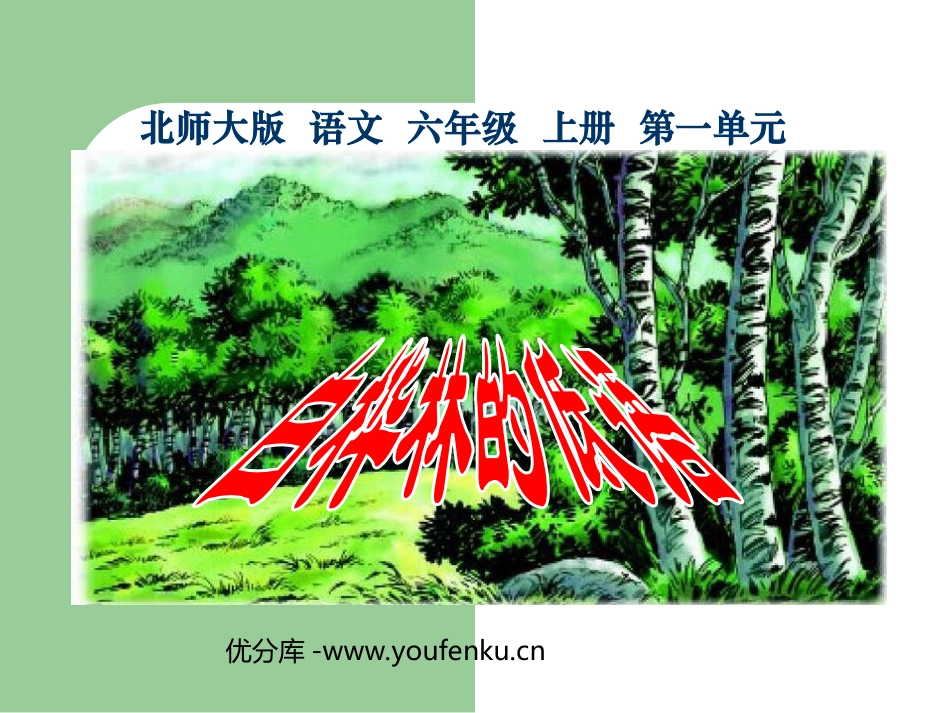 《白桦林的低语》PPT课件[北师大版六年级语文上册]_第1页