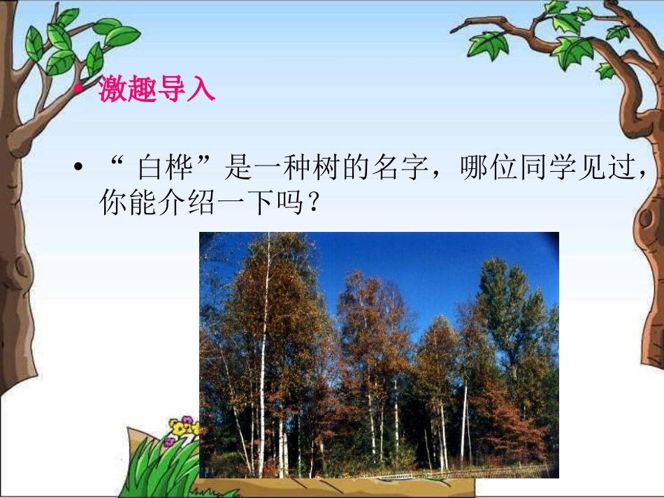 《白桦林的低语》PPT课件[北师大版六年级语文上册]_第3页