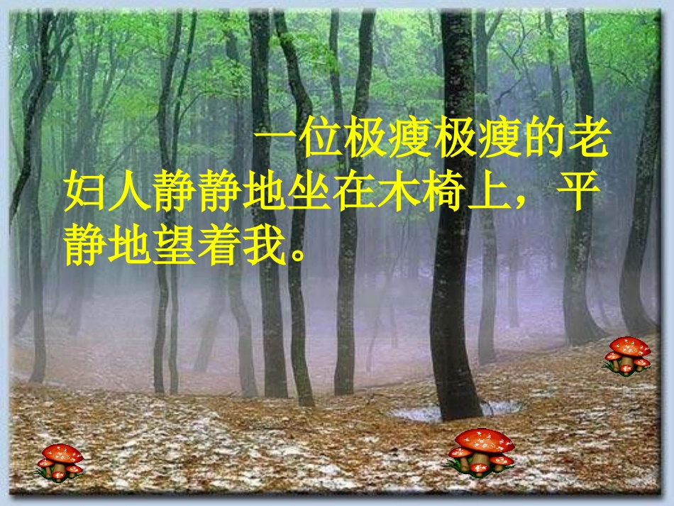 《唯一的听众》PPT课件[北师大版六年级语文上册]_第3页