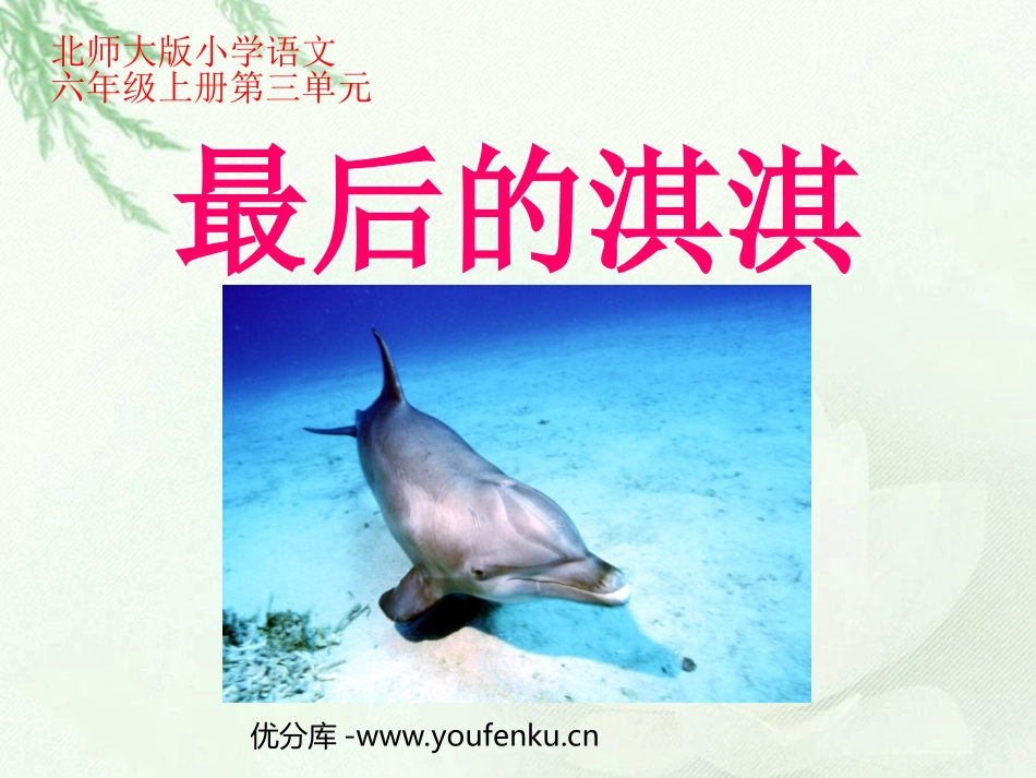 《最后的淇淇》PPT课件[北师大版六年级语文上册]_第1页