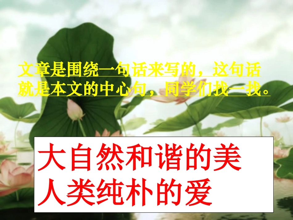 《荷塘旧事》PPT课件[北师大版六年级语文上册]_第3页