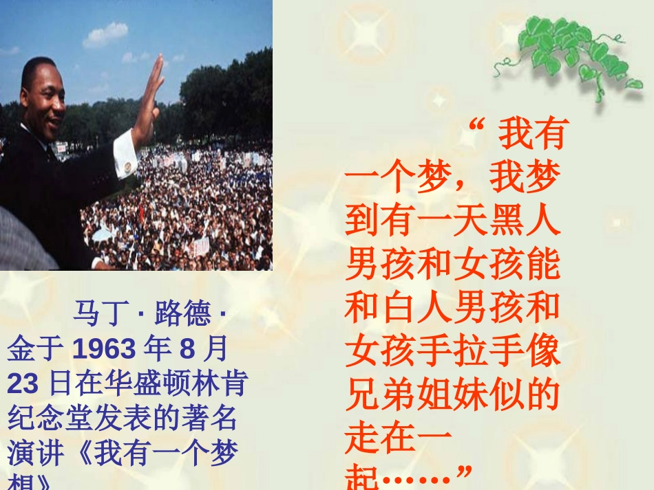 《黑孩子罗伯特》PPT课件[北师大版六年级语文上册]_第2页