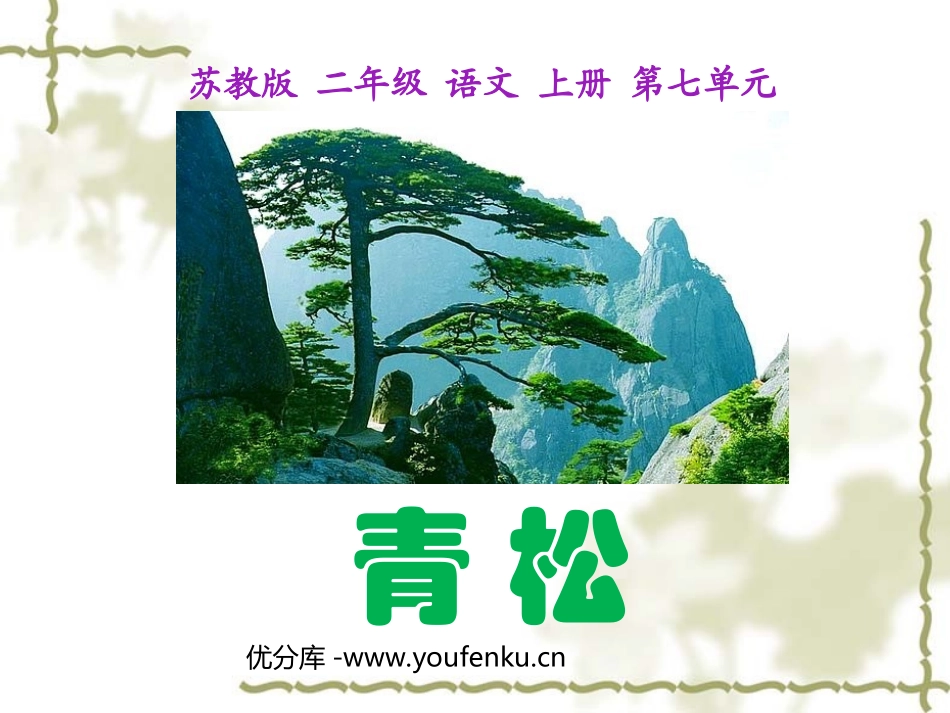 《青松》PPT课件[苏教版二年级语文上册]_第1页