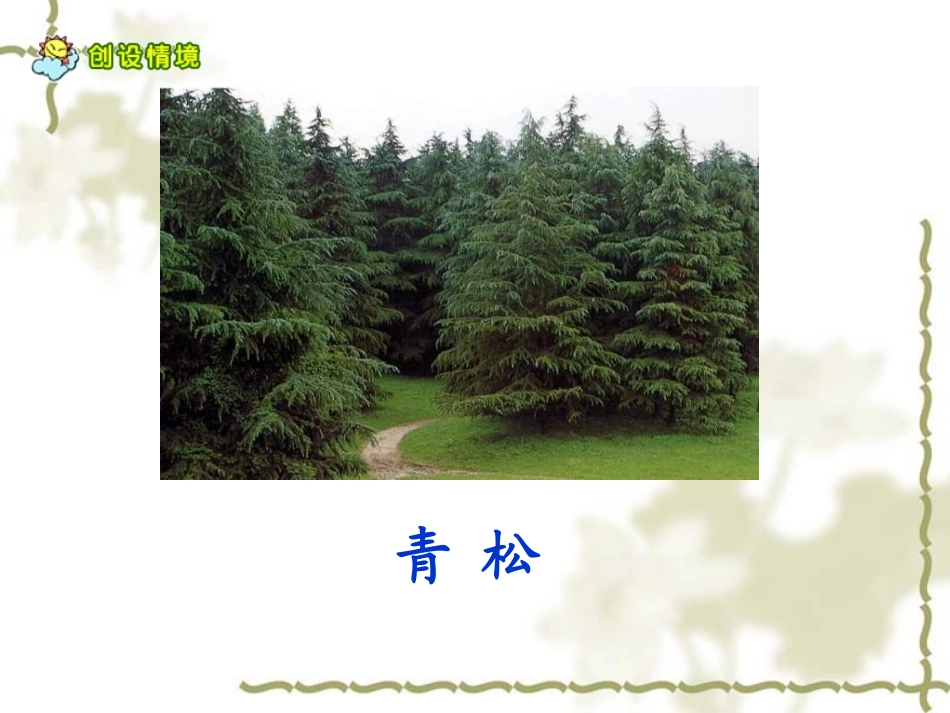 《青松》PPT课件[苏教版二年级语文上册]_第3页