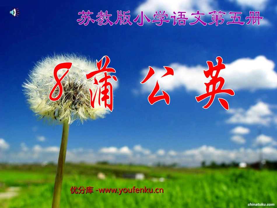 《蒲公英》PPT课件[苏教版三年级语文上册]_第1页