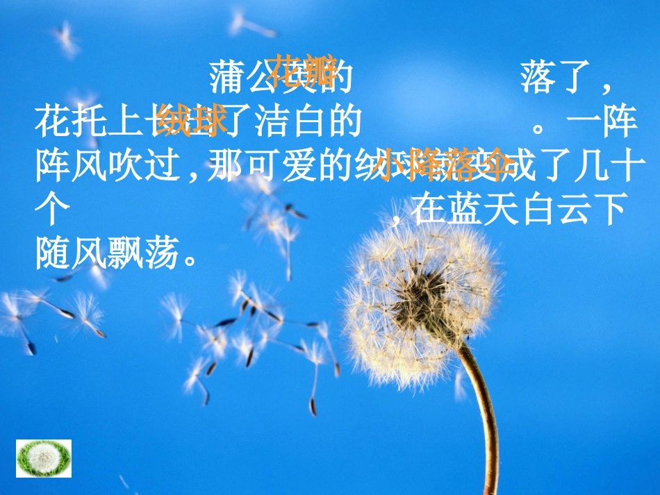 《蒲公英》PPT课件[苏教版三年级语文上册]_第3页