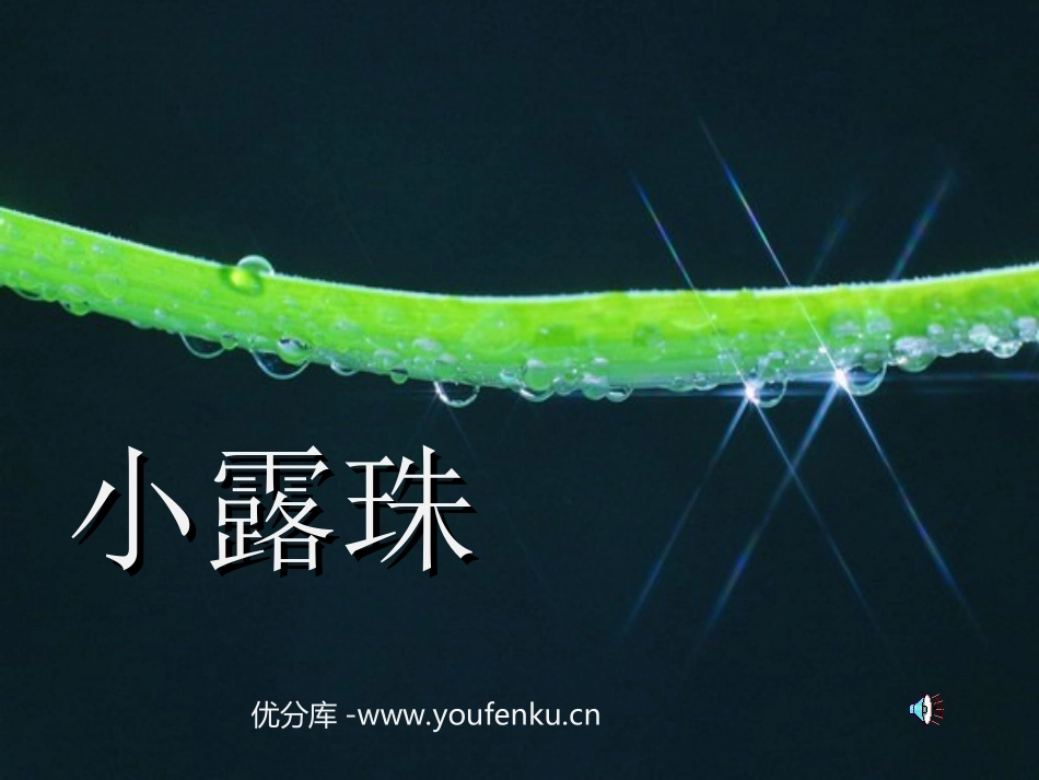 《小露珠》PPT课件[苏教版三年级语文上册]_第1页