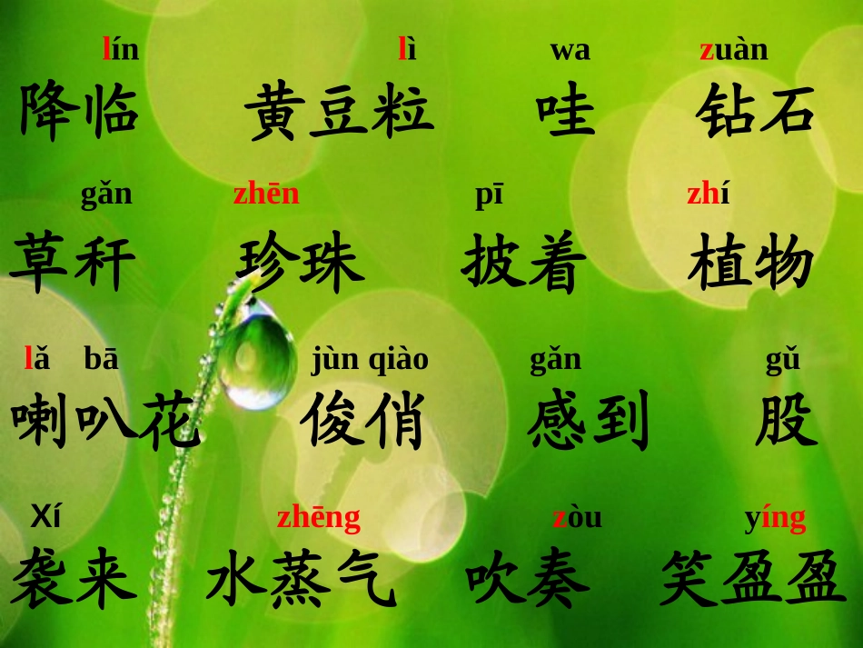 《小露珠》PPT课件[苏教版三年级语文上册]_第2页