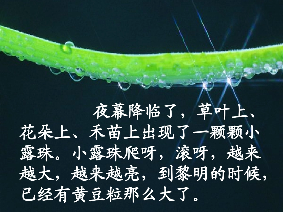 《小露珠》PPT课件[苏教版三年级语文上册]_第3页