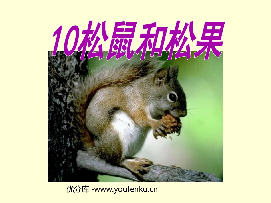 《松鼠和松果》PPT课件[部编版一年级语文下册]_第1页