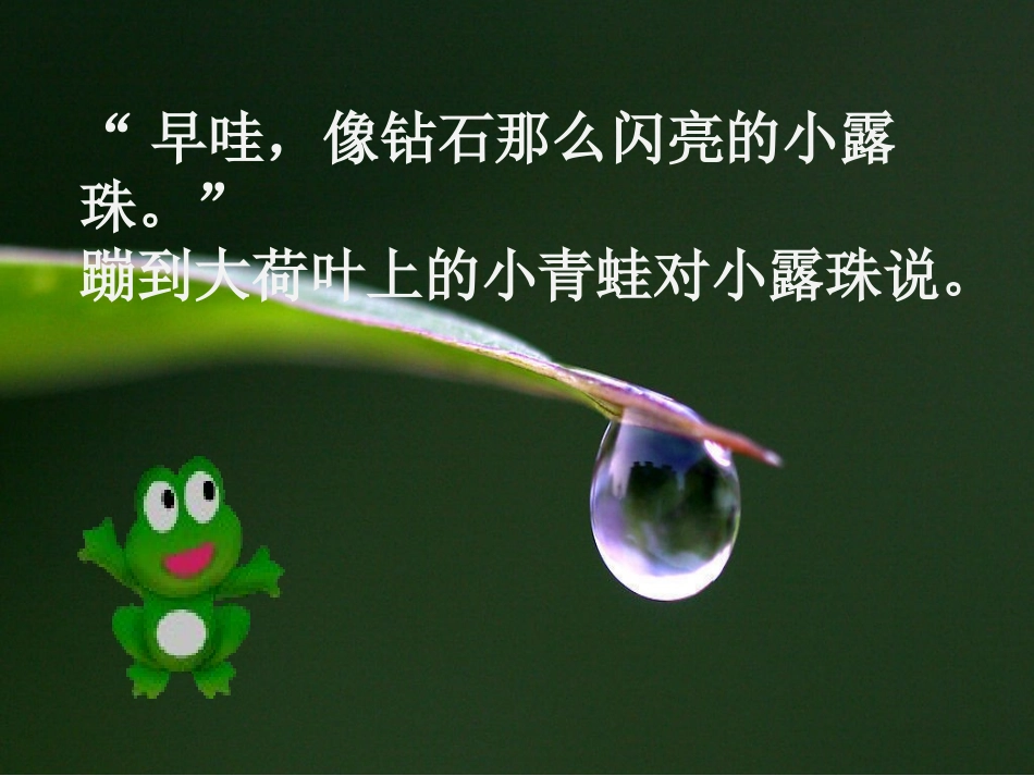 《小露珠》PPT课件[苏教版三年级语文上册]_第2页