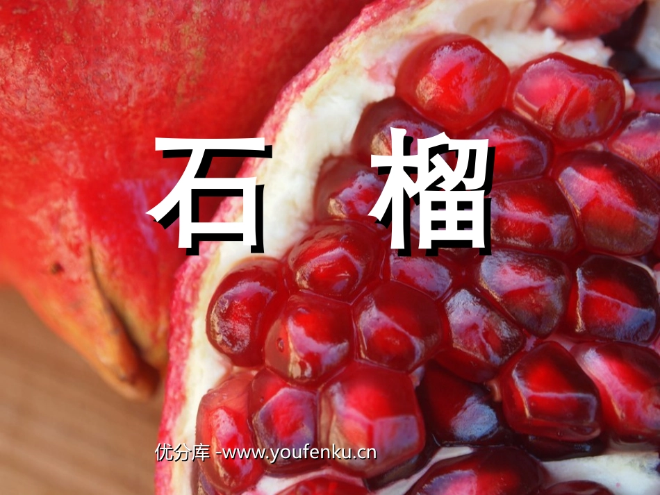 《石榴》PPT课件[苏教版三年级语文上册]_第1页