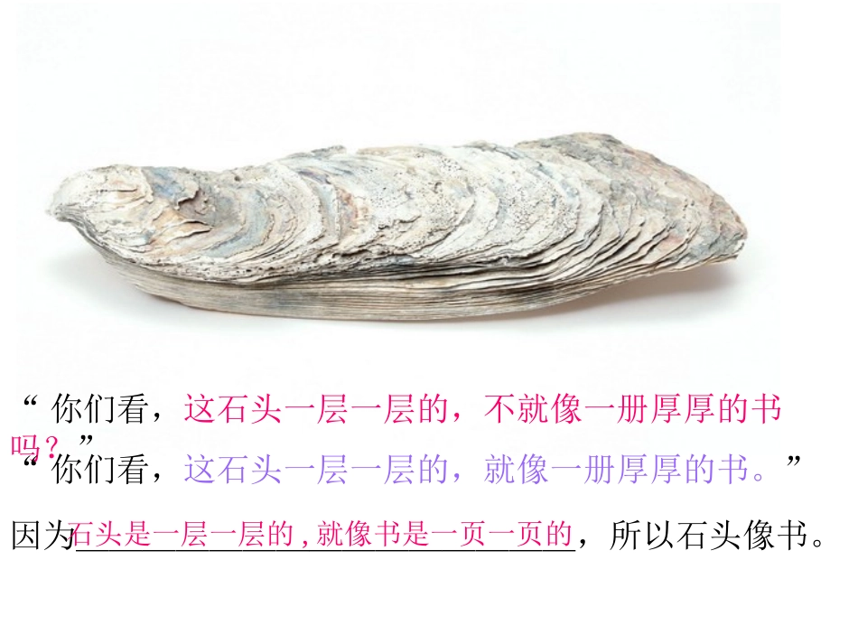《石头书》PPT课件[苏教版三年级语文上册]_第2页