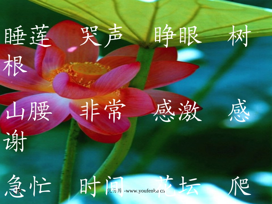 《夏夜多美》PPT课件[部编版一年级语文下册]_第2页