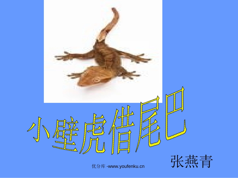 《小壁虎借尾巴》PPT课件[部编版一年级语文下册]_第1页