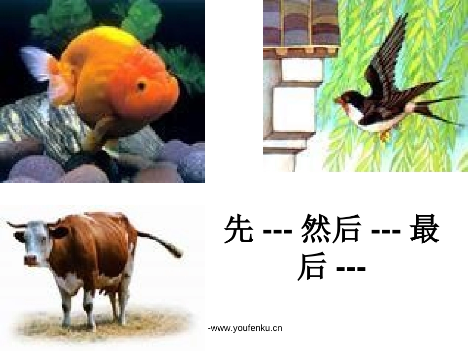 《小壁虎借尾巴》PPT课件[部编版一年级语文下册]_第2页