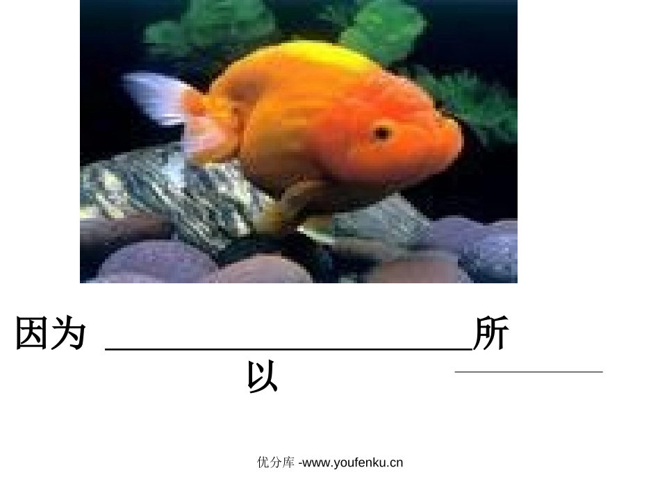 《小壁虎借尾巴》PPT课件[部编版一年级语文下册]_第3页