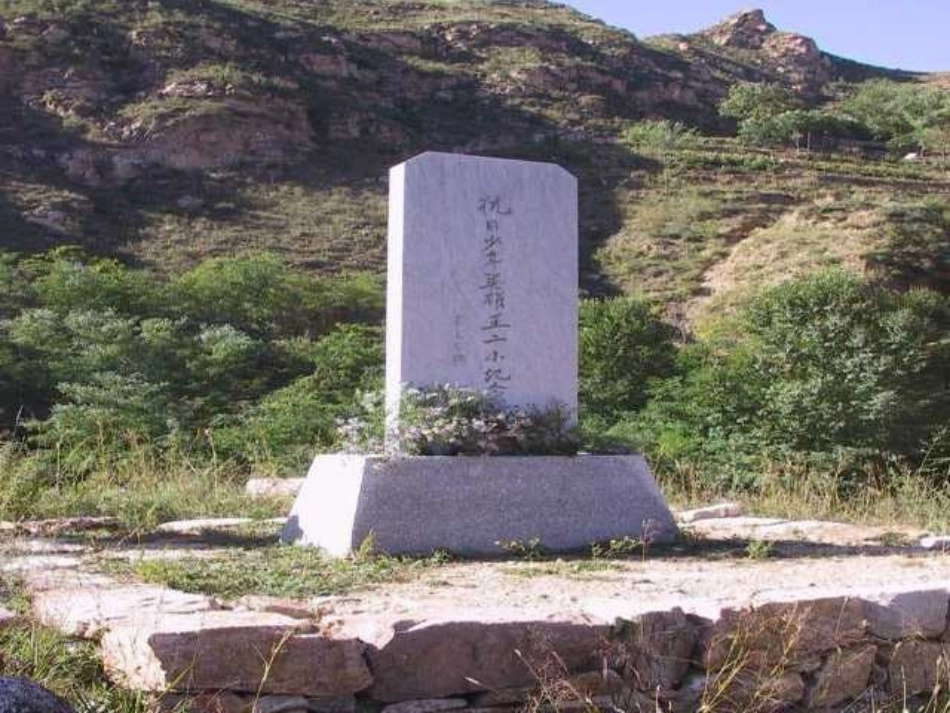 《王二小》PPT课件[部编版一年级语文下册]_第2页