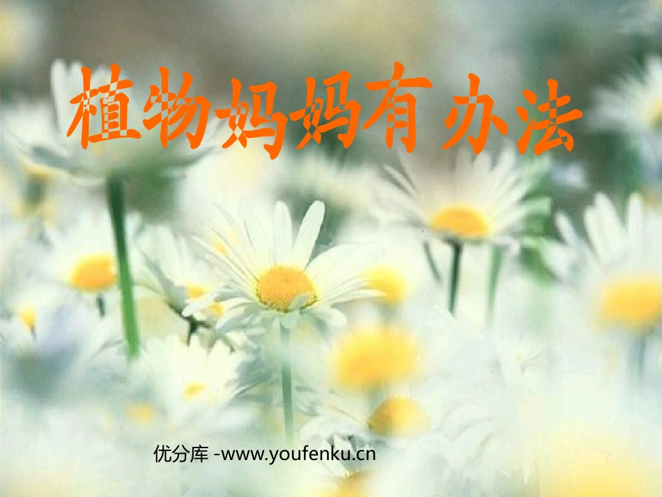 部编版二年级语文植物妈妈有办法PPT教学课件_第1页
