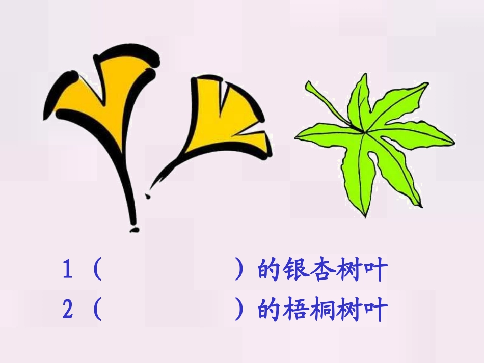 部编版二年级语文蓝色的树叶PPT教学课件_第2页