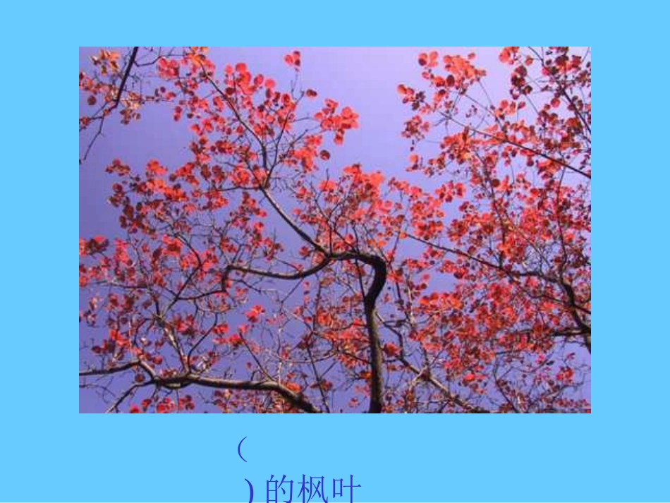 部编版二年级语文蓝色的树叶PPT教学课件_第3页