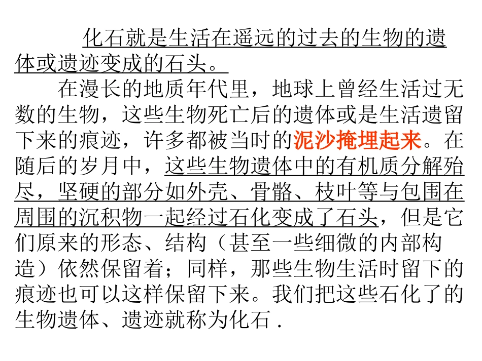 部编版二年级语文活化石PPT教学课件_第2页