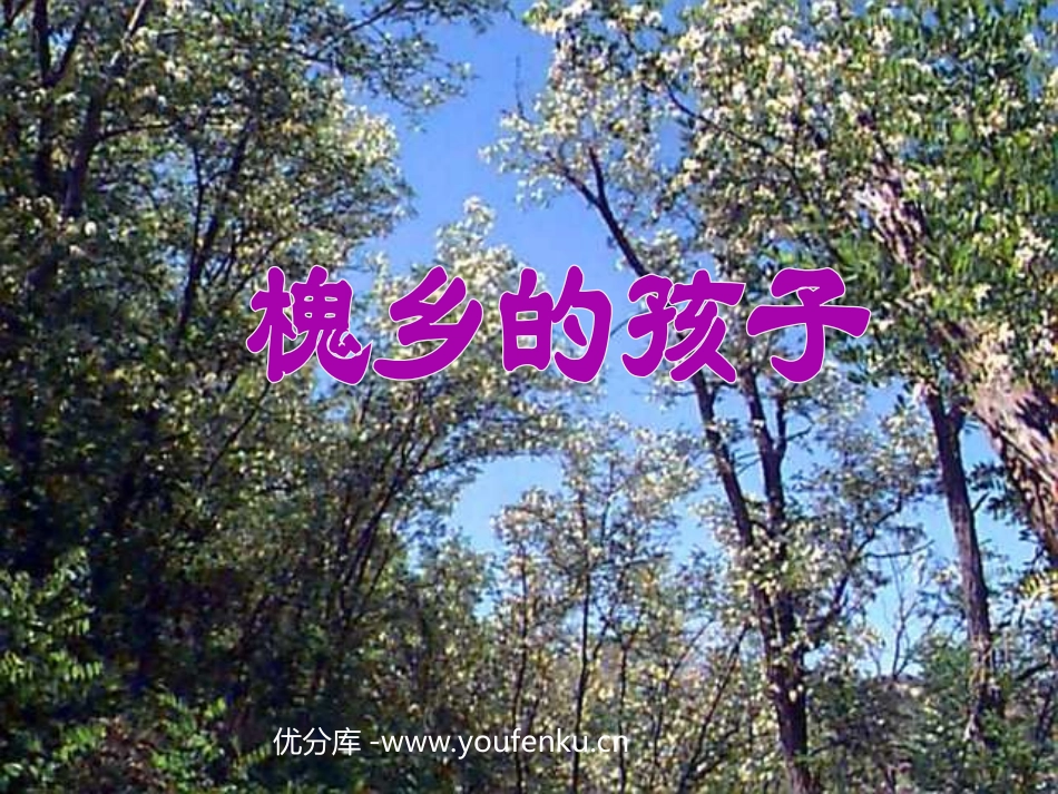 《槐乡的孩子》PPT教学课件[部编版三年级语文上册]_第1页