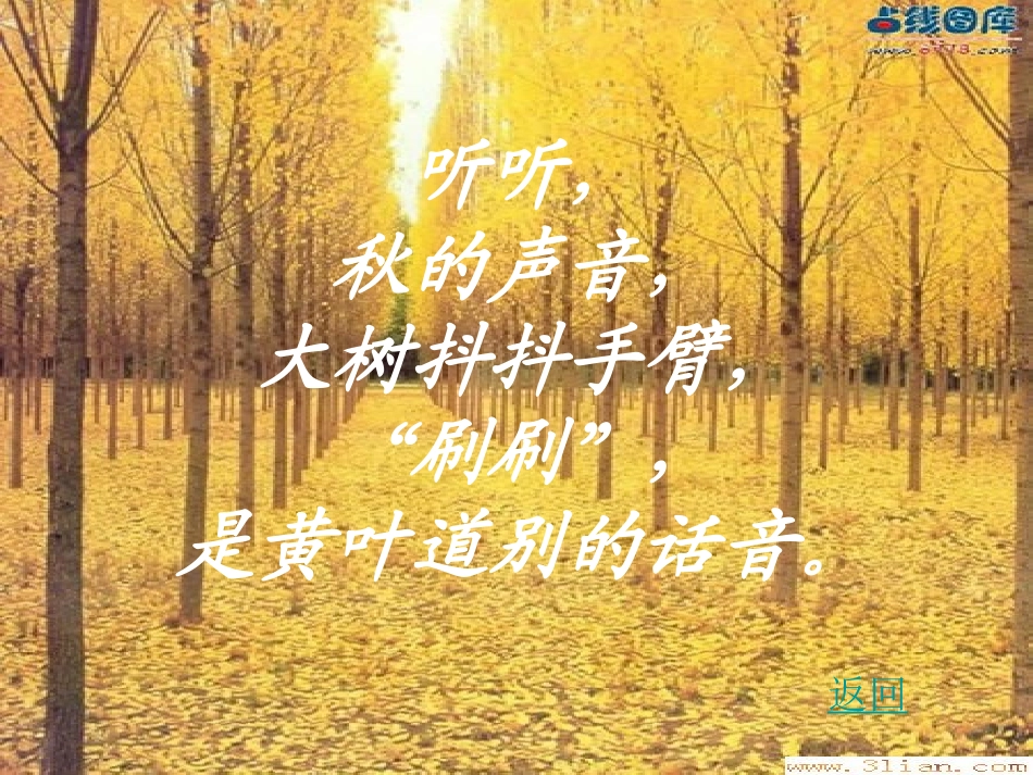 《听听,秋的声音》PPT教学课件[部编版三年级语文上册]_第3页