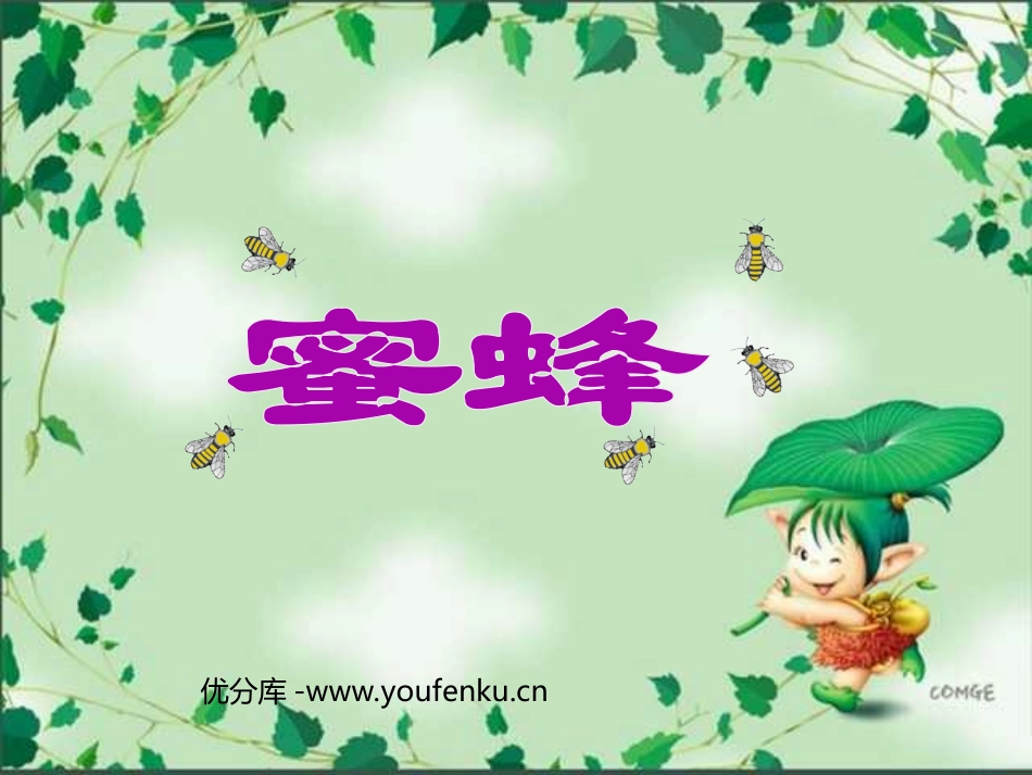 《蜜蜂》PPT教学课件[部编版三年级语文上册]_第1页