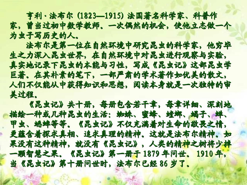 《蜜蜂》PPT教学课件[部编版三年级语文上册]_第3页