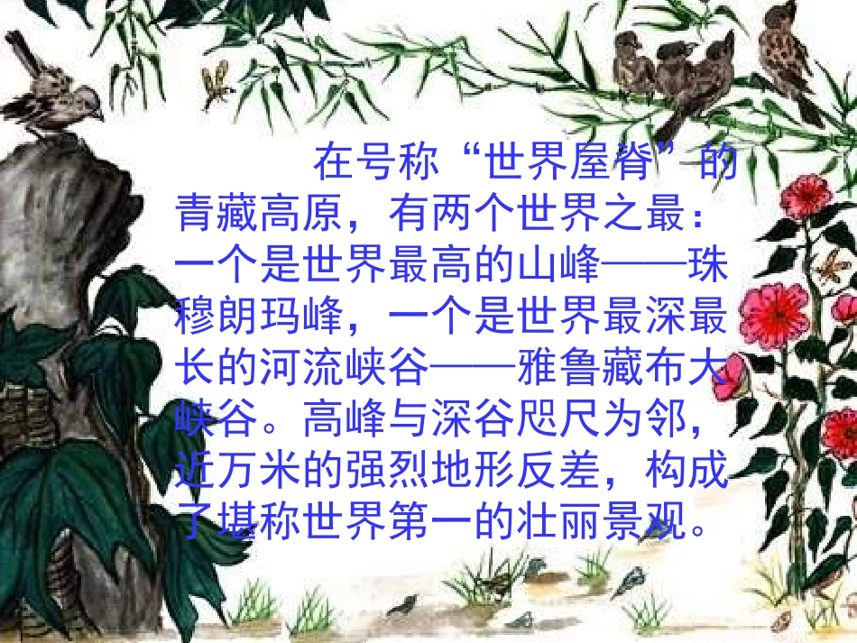 《雅鲁藏布大峡谷》PPT教学课件[部编版四年级语文上册]_第2页