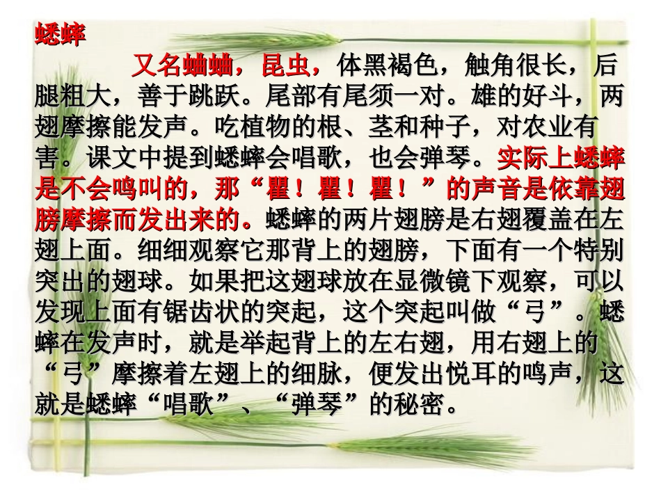 《蟋蟀的住宅》PPT教学课件[部编版四年级语文上册]_第3页