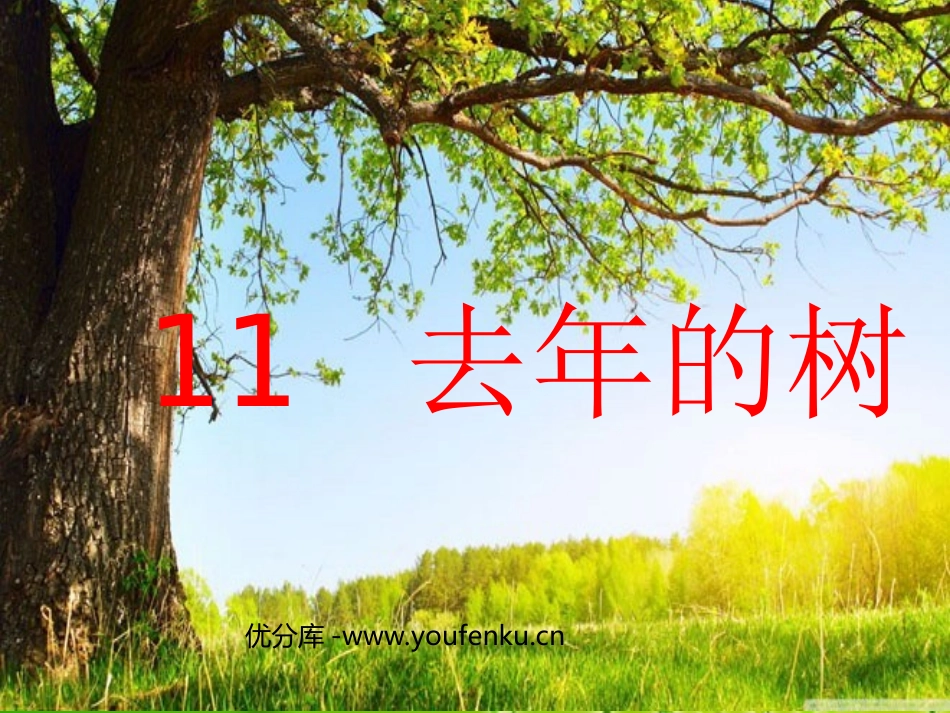 《去年的树》PPT教学课件[部编版四年级语文上册]_第1页