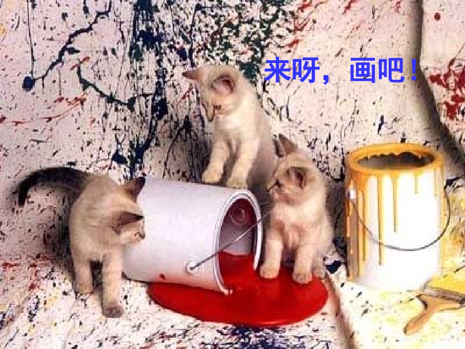《猫》PPT课件[部编版四年级语文上册]_第3页
