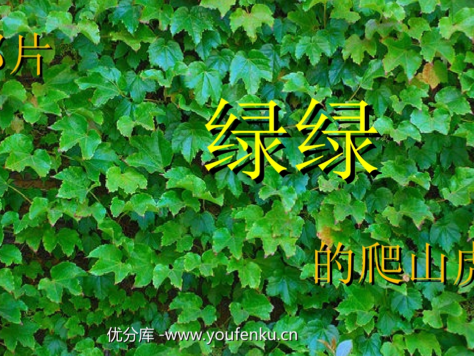 《那片绿绿的爬山虎》PPT课件[部编版四年级语文上册]_第1页