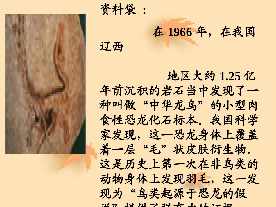 《飞向蓝天的恐龙》PPT课件[部编版四年级语文上册]_第3页