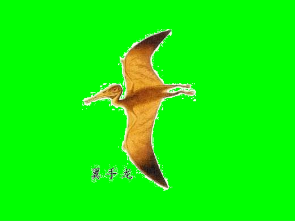 《飞向蓝天的恐龙》PPT课件[部编版四年级语文上册]_第3页