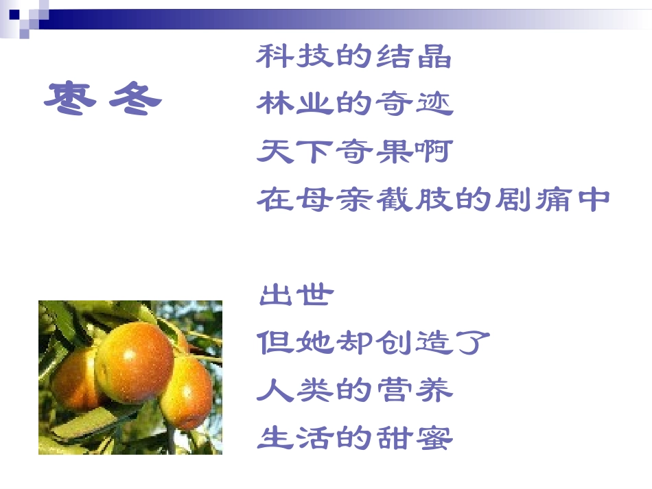 《飞船上的特殊乘客》PPT课件[部编版四年级语文上册]_第2页