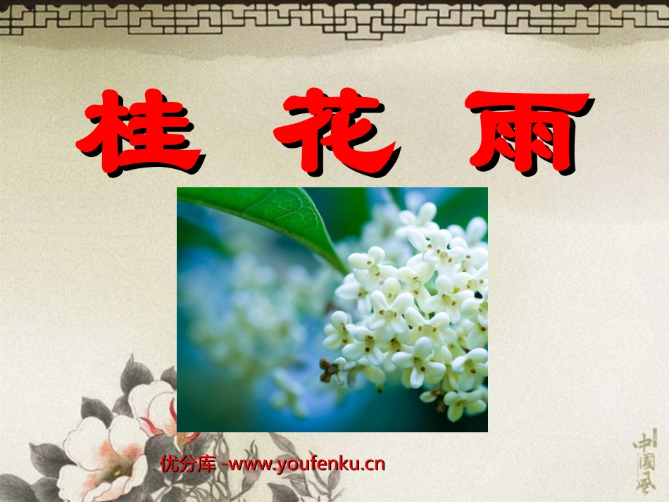 《桂花雨》PPT课件[部编版五年级语文上册]_第1页