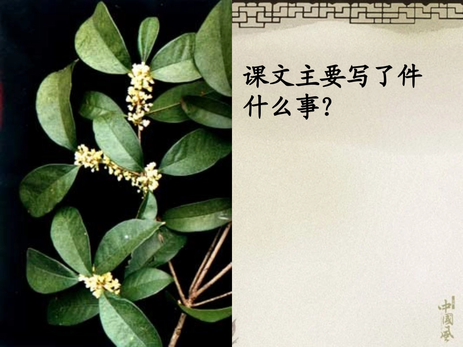 《桂花雨》PPT课件[部编版五年级语文上册]_第3页