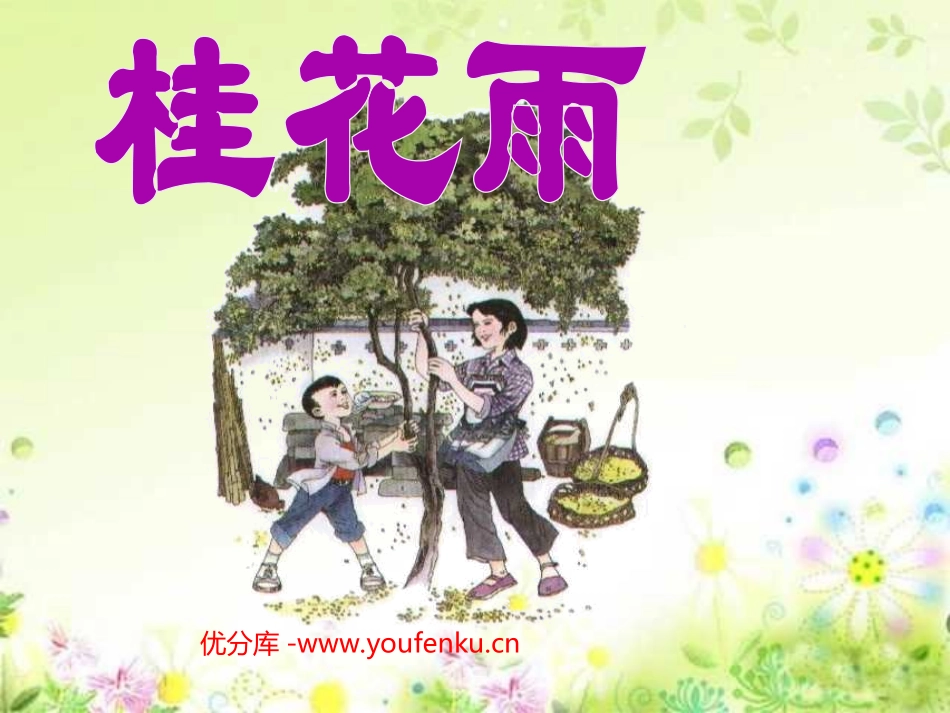 《桂花雨》PPT课件[部编版五年级语文上册]_第1页