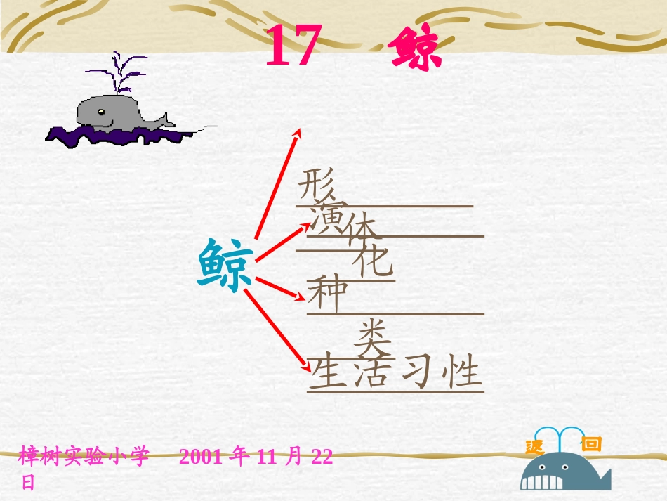 《鲸》PPT课件[部编版五年级语文上册]_第3页