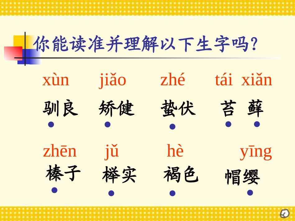 《松鼠》PPT课件[部编版五年级语文上册]_第1页