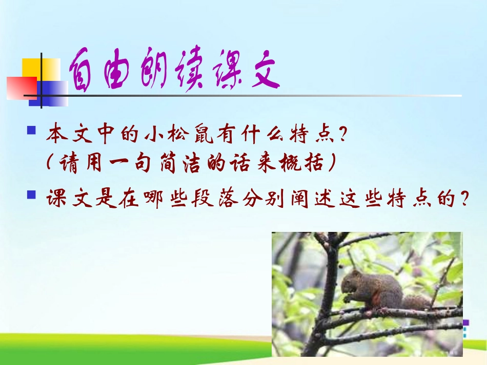 《松鼠》PPT课件[部编版五年级语文上册]_第1页