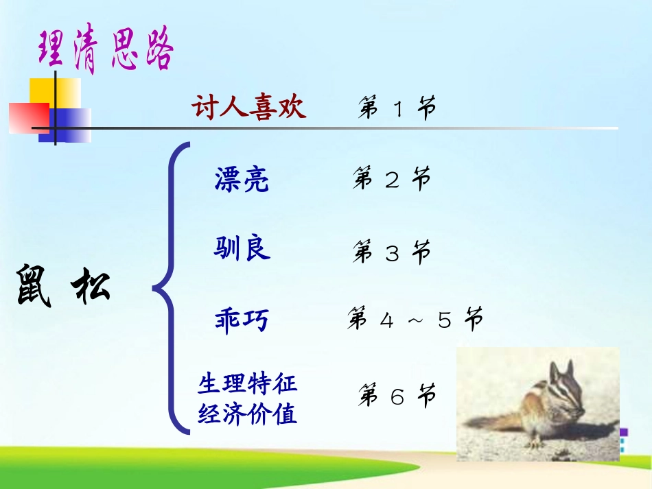 《松鼠》PPT课件[部编版五年级语文上册]_第2页