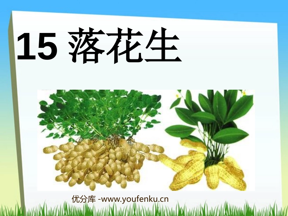 《落花生》PPT课件[部编版五年级语文上册]_第1页